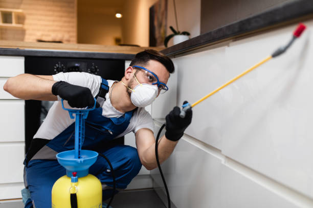 Best Local Pest Control Services  in North Pekin, IL